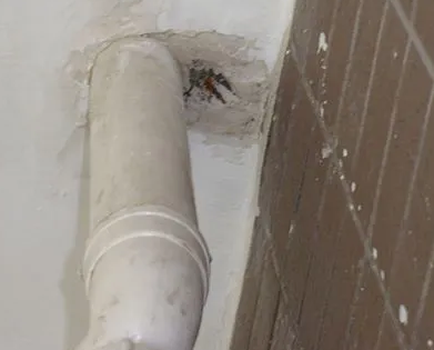 永康漏水检测哪家好